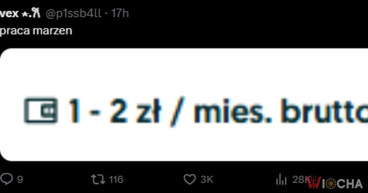 Praca marzeń?