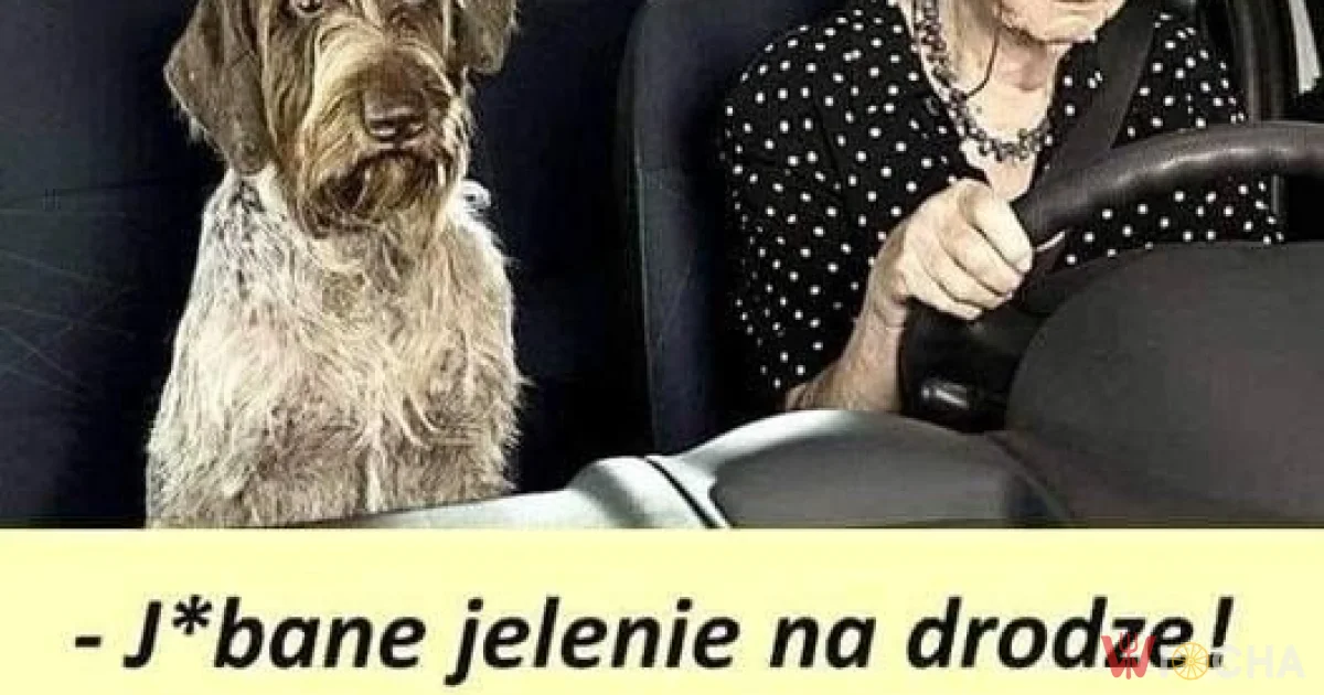Grażyna za kółkiem