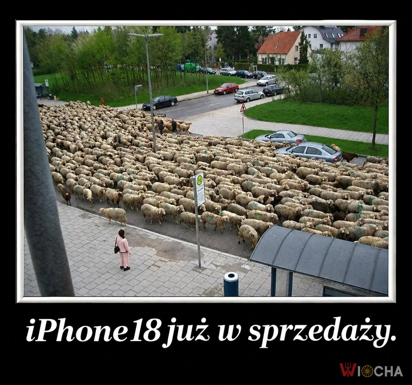 Nowy hit od Apple