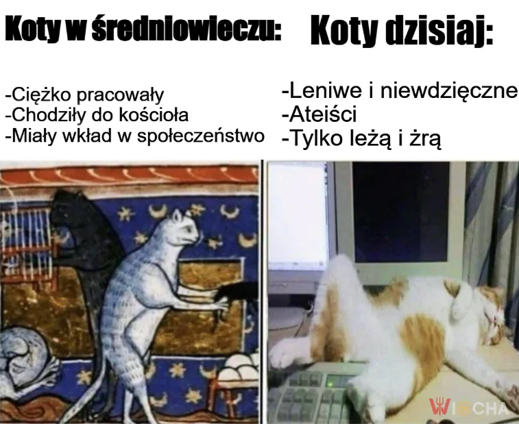 Koty przez wieki