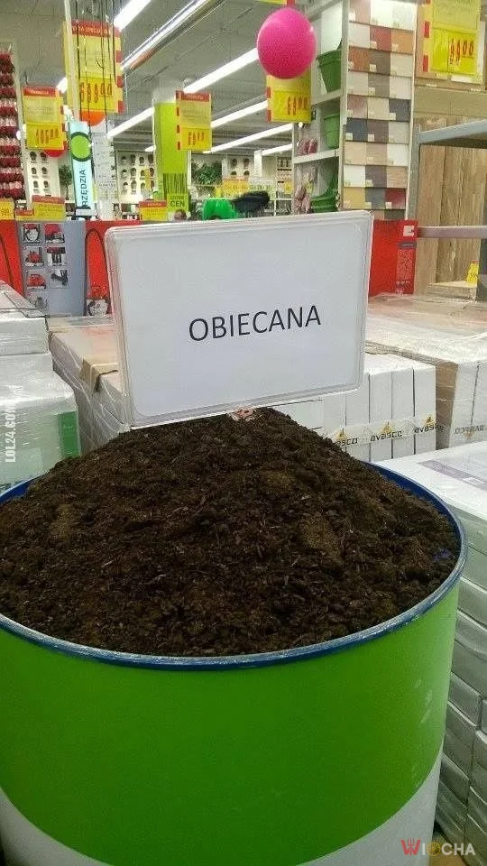 Ziemia obiecana