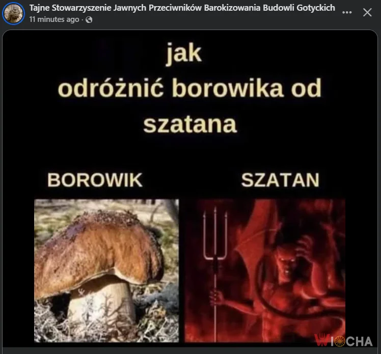 Grzybowe dylematy