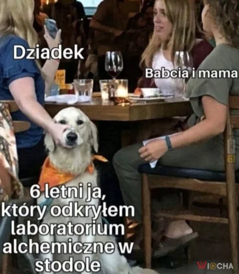 Siedź cicho
