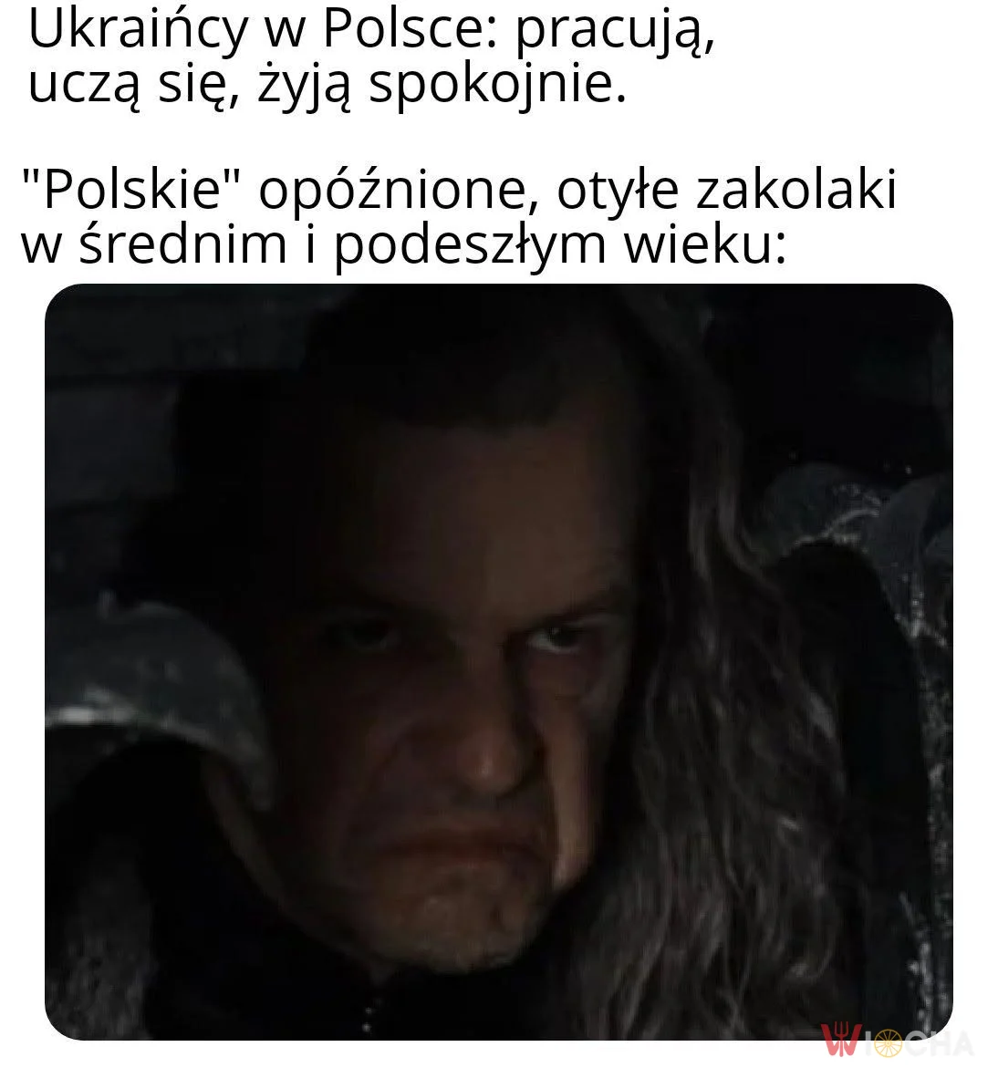 Polscy patrioci w akcji