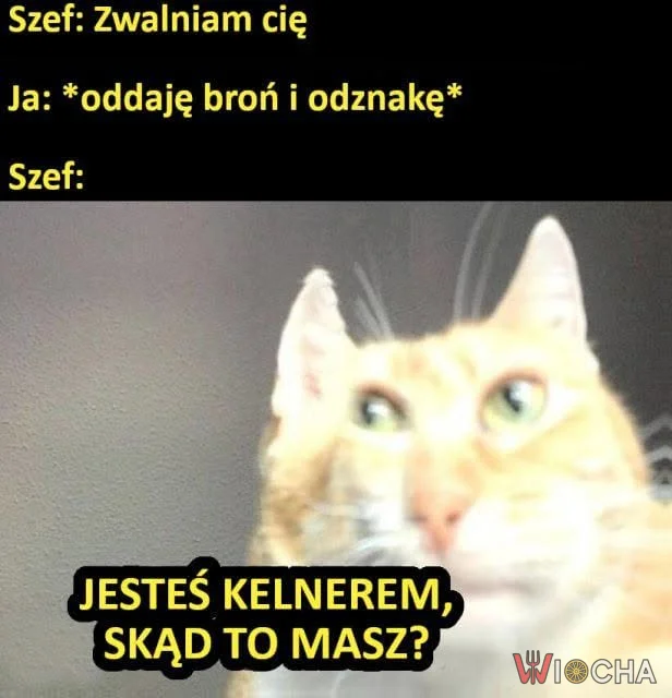 Kelner z bronią?