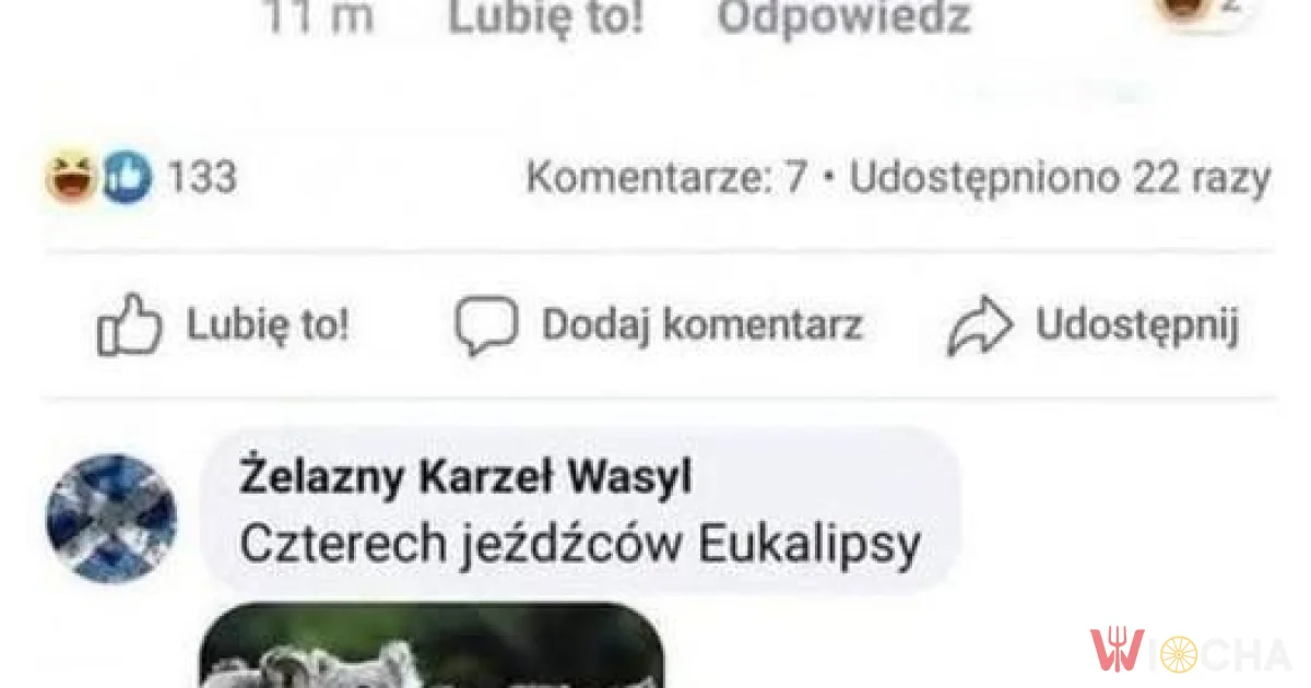 Nadejdzie eukalipsa