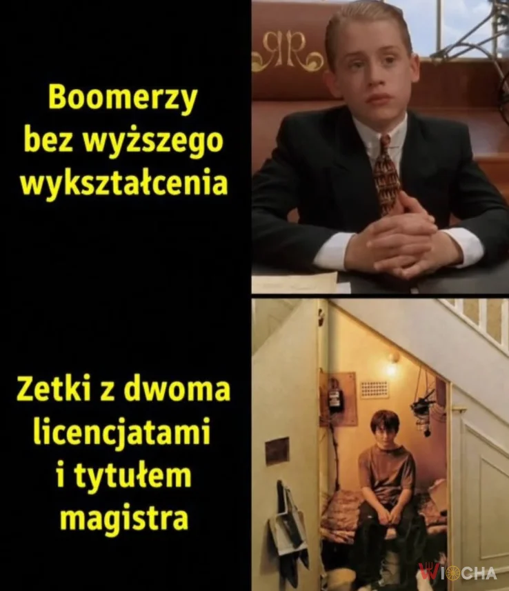 Wykształcenie na marne?