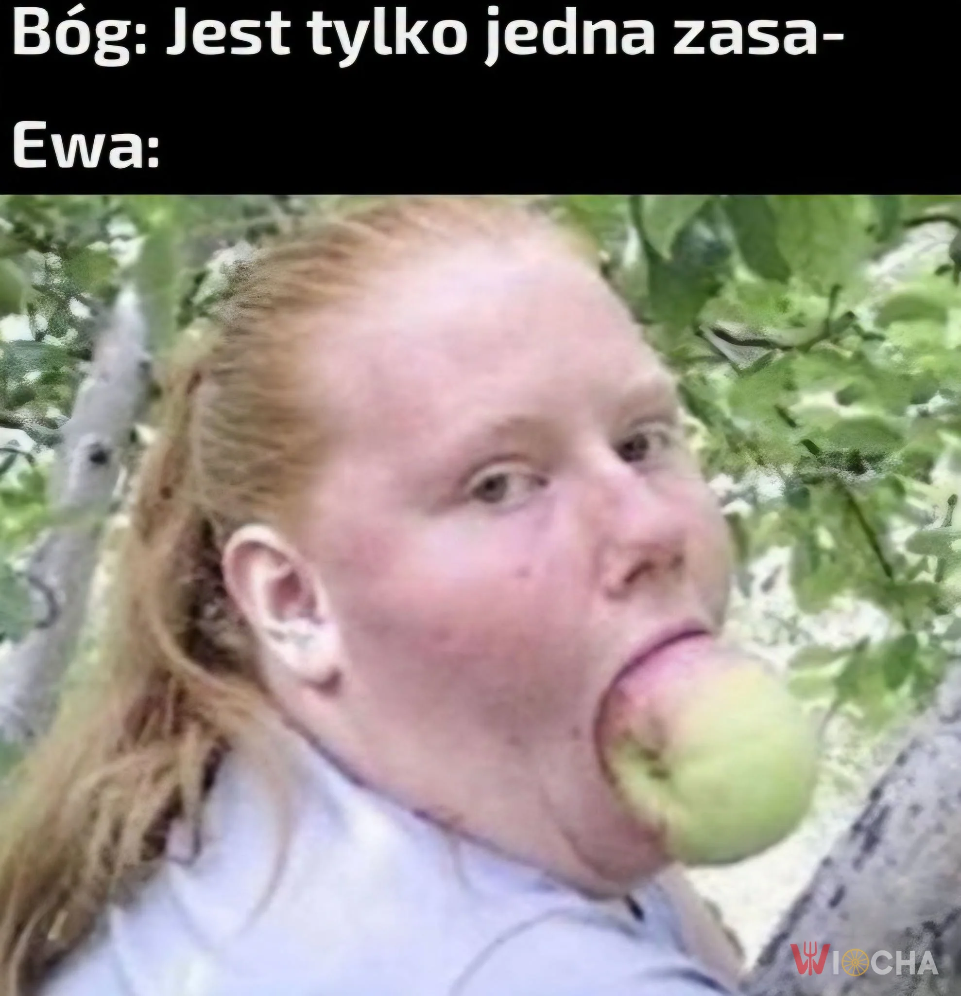 Jedna zasada