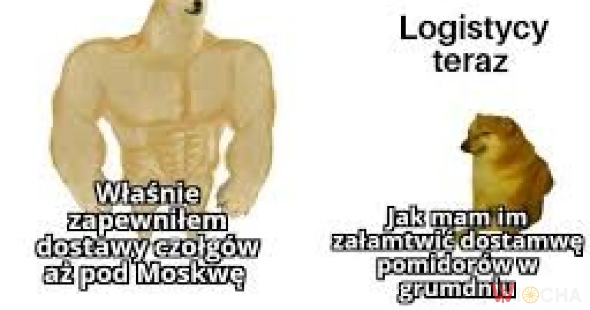 Skąd mam wziąć pomidory?