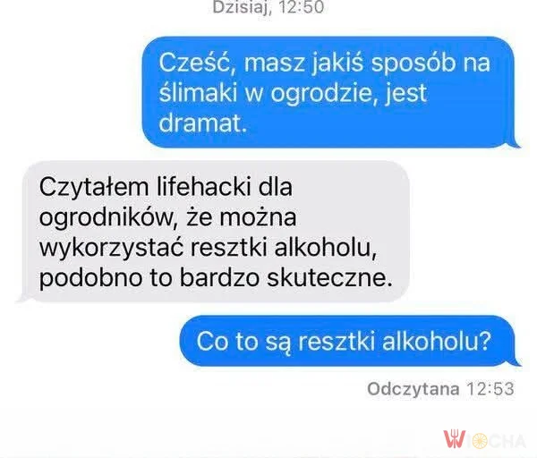 Lifehack z użyciem resztek