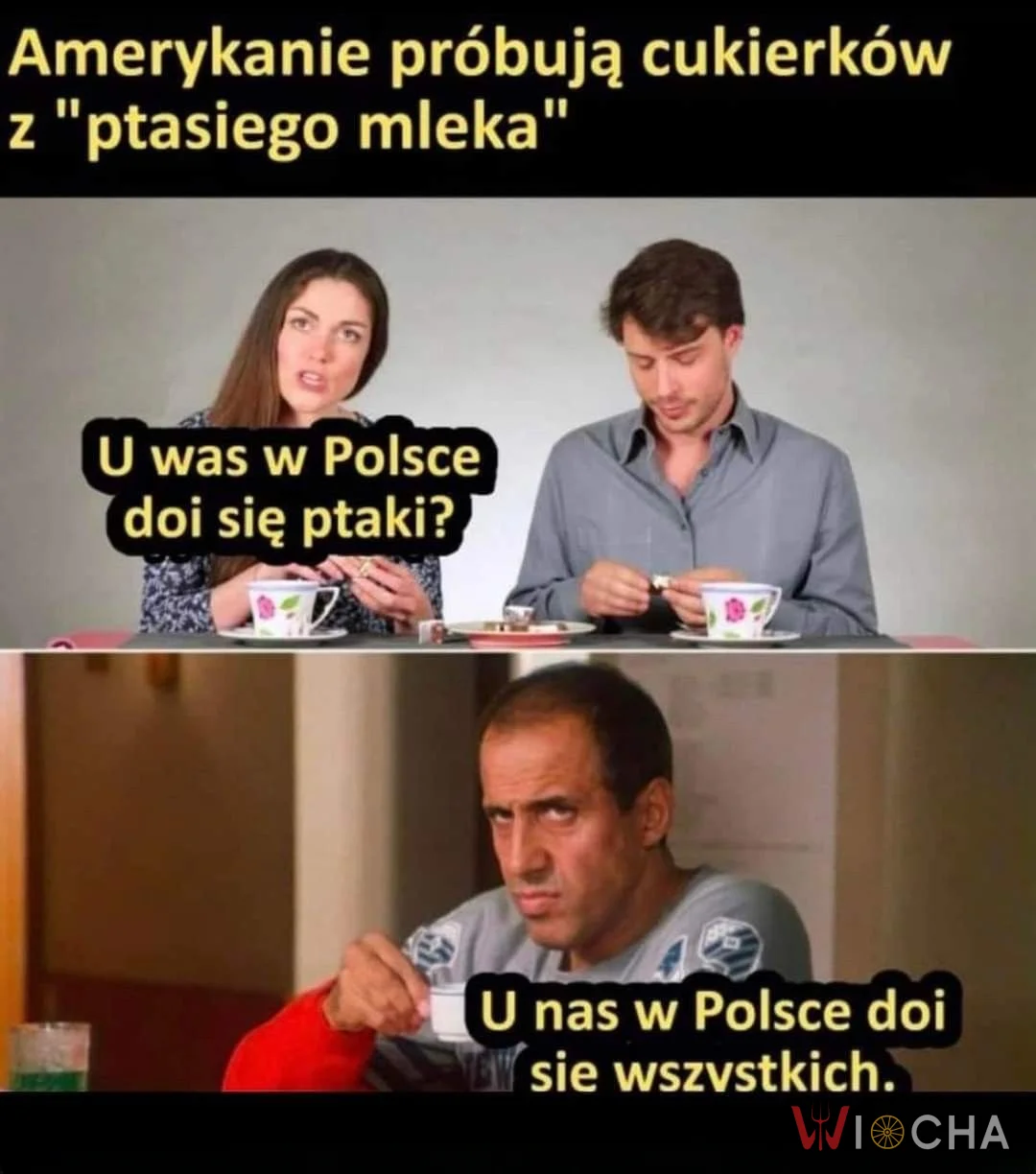 Coś w tym jest