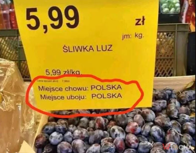 Chów w Polsce