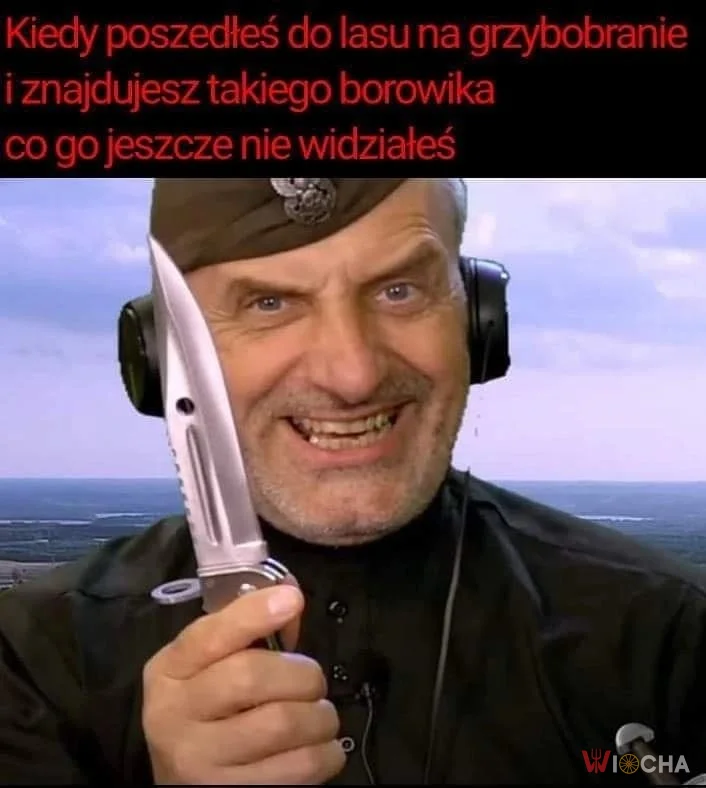 Ależ dorodny borowik