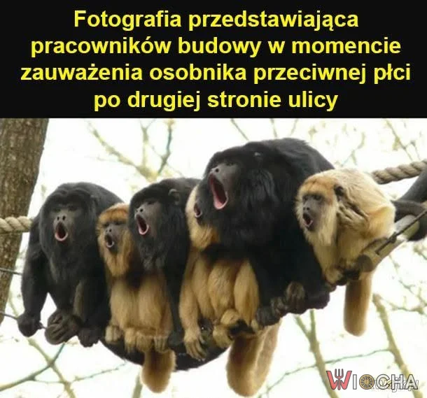 Kiedy ktoś ładny przechodzi obok