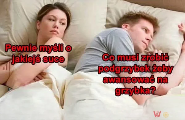 Co jeszcze musi udowodnić podgrzybek?