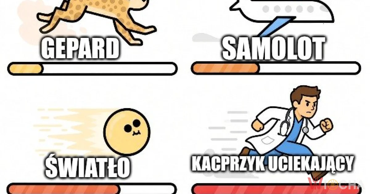 Zawrotna prędkość