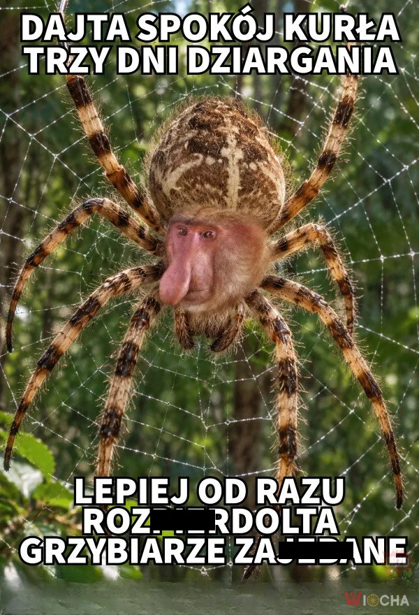 A dajcie spokój