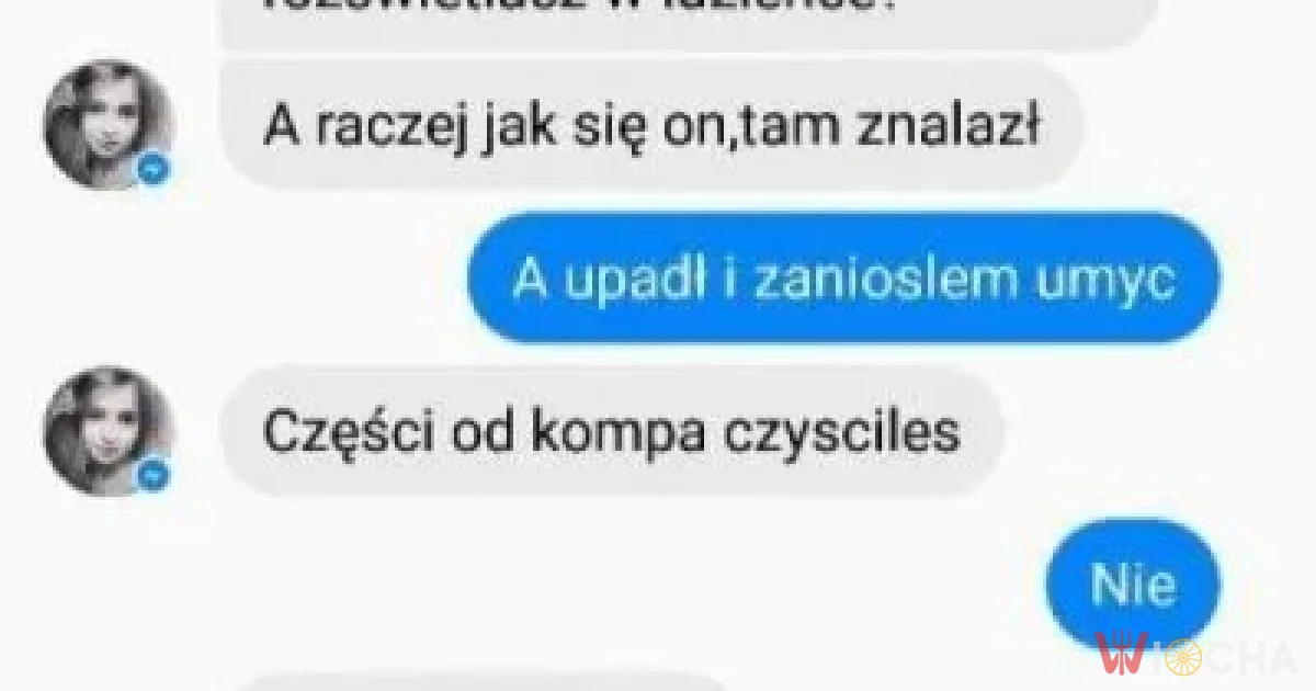 Pędzel do czyszczenia komputera