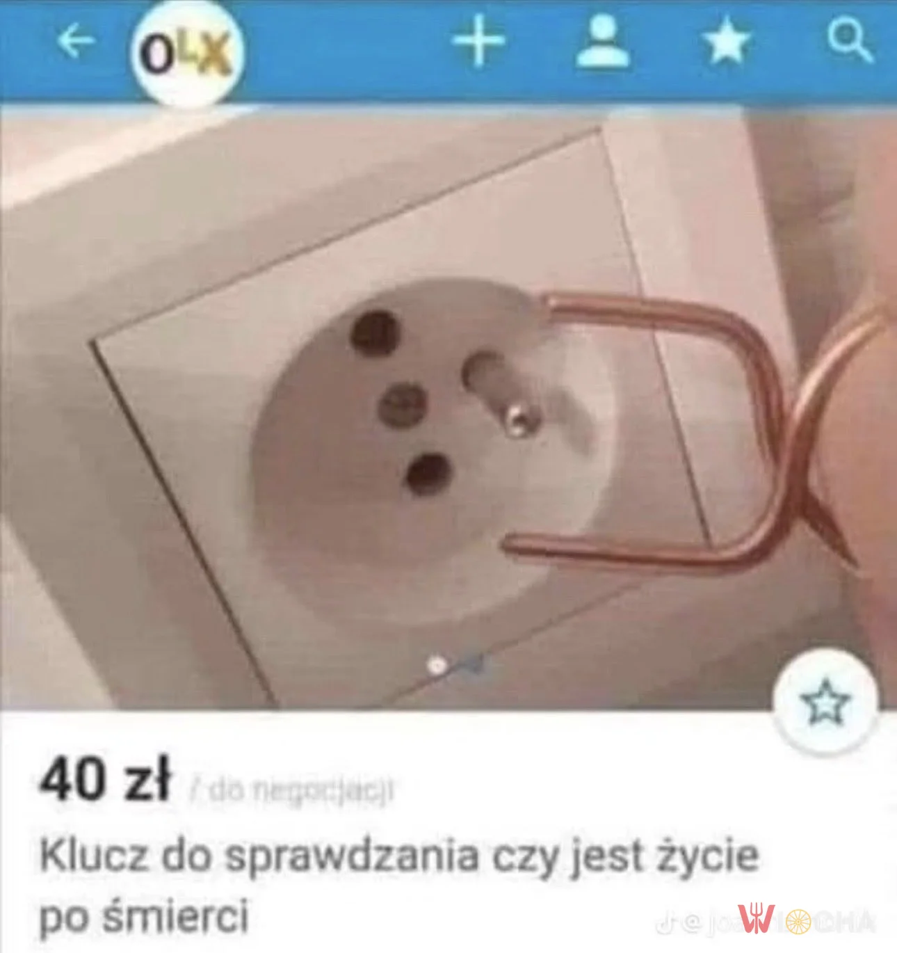 Test na życie po śmierci