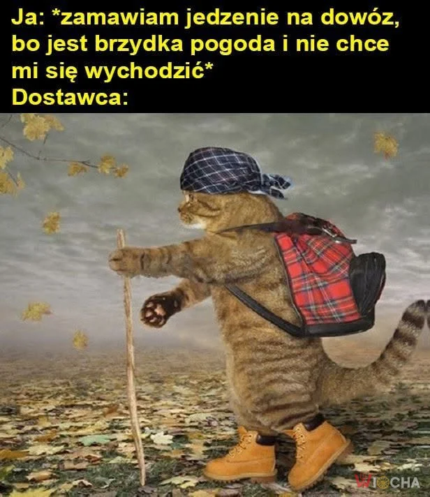 Dostawca walczy dla ciebie