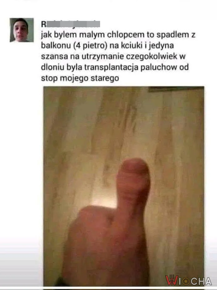 Paluch starego