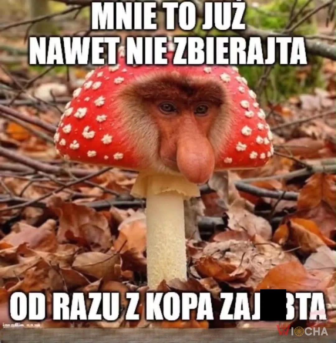 Mnie to zostawcie w lesie