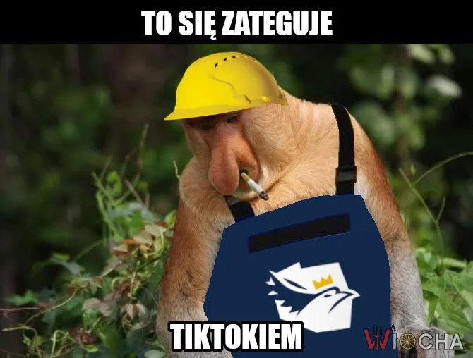 Zatrudnili więcej TikTokerów