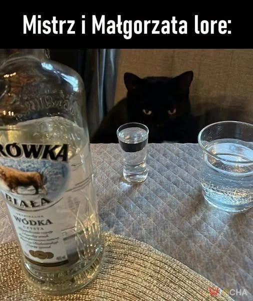 Klasyka literatury