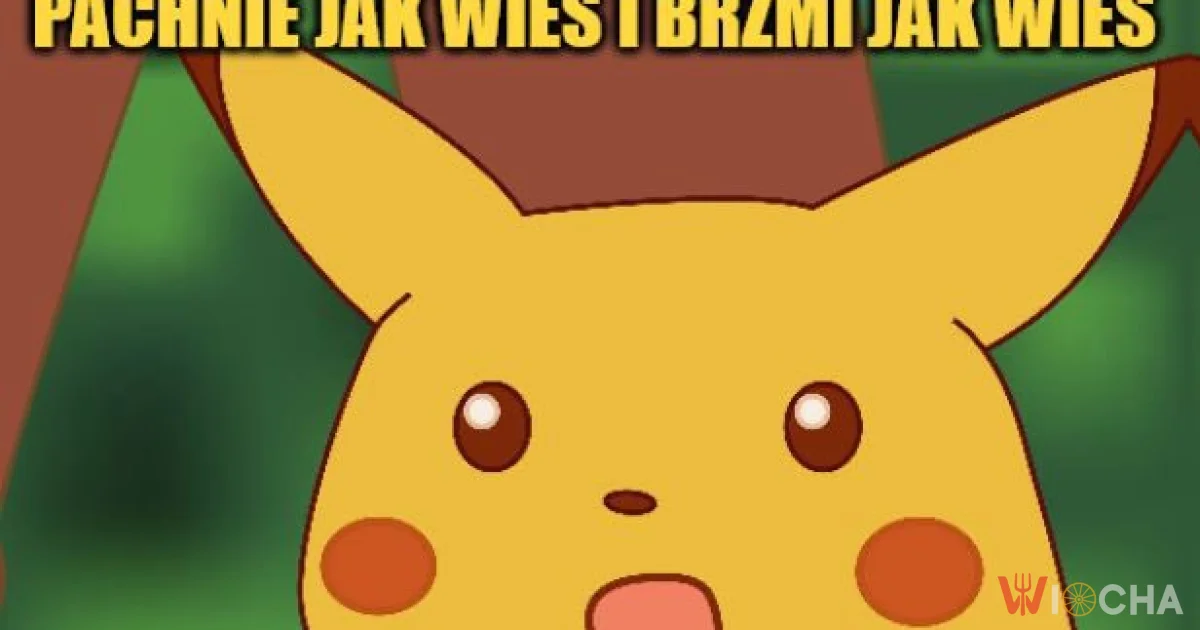 To wy tu tak żyjecie?