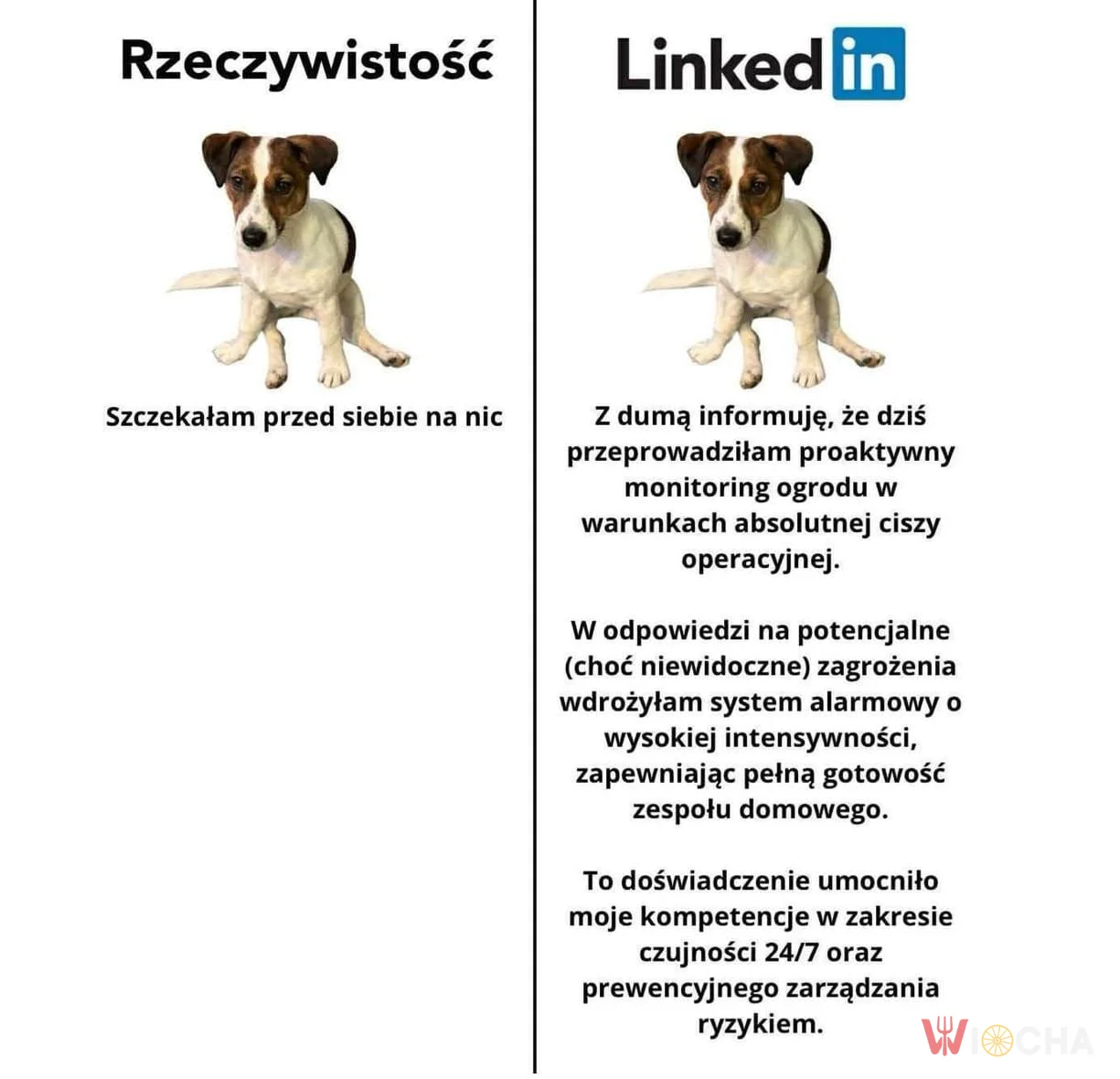 Szczekam w jakimś celu
