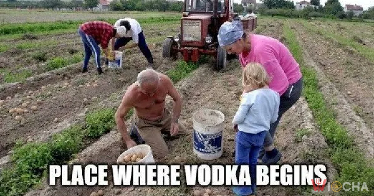 Wykopki to bardzo ważne wydarzenie