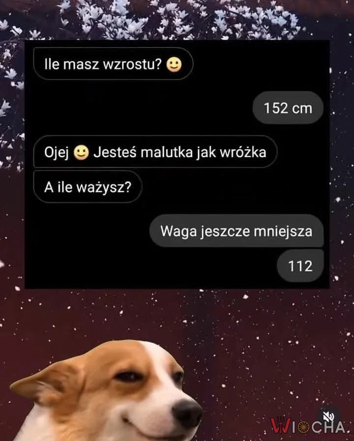 112 kilowa wróżka