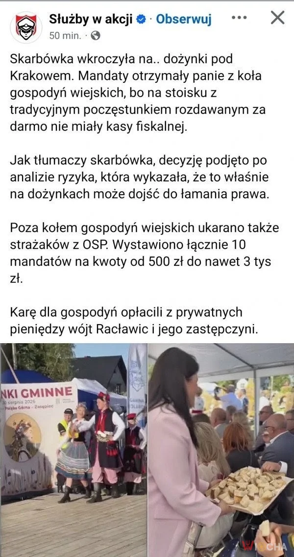Była pizza z krewetkami, była butelka wody, teraz dożynki.