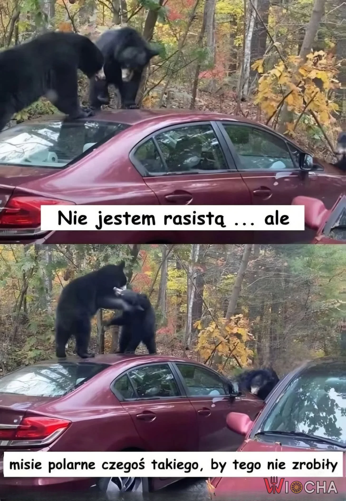 Nie jestem rasistą, ale...