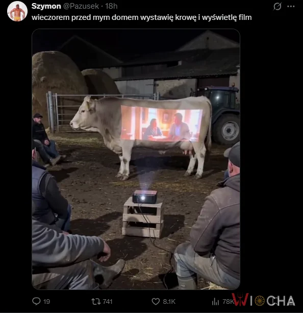 Krowa w roli głównej
