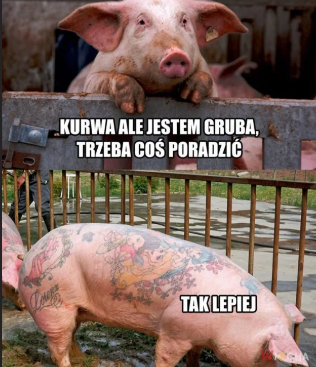 Typowa ulana Polka i jej zmiany w życiu nie siłownia i zdrowe jedzenie a tatuaż a swoje obżarstwo  to zwalać na chorobę haha