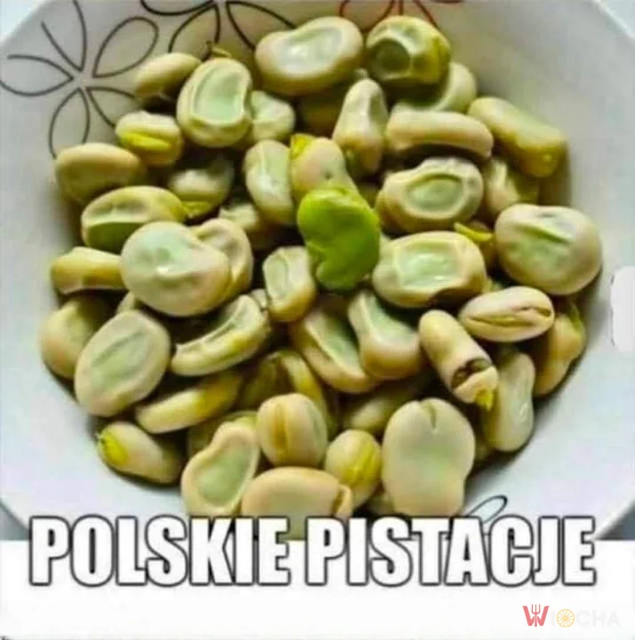 Pistacje z Polski