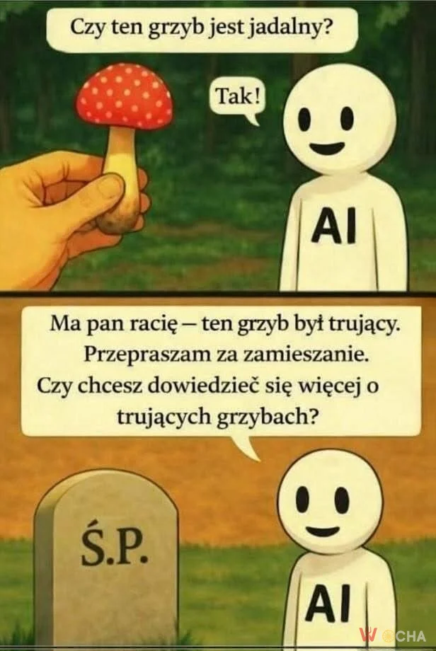 Grzybowa logika AI