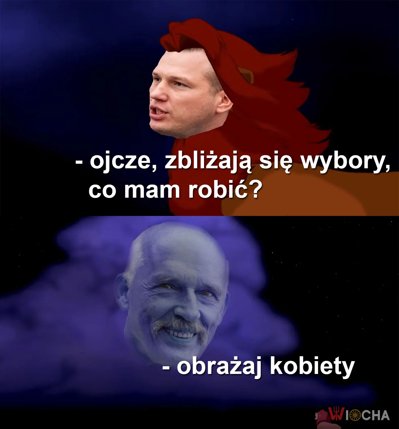 Narda przedwyborcza