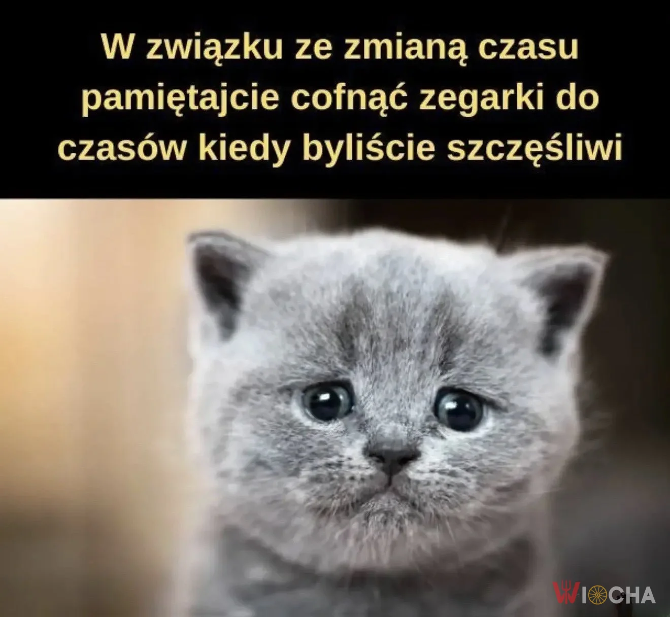 Cofnijmy się do szczęścia