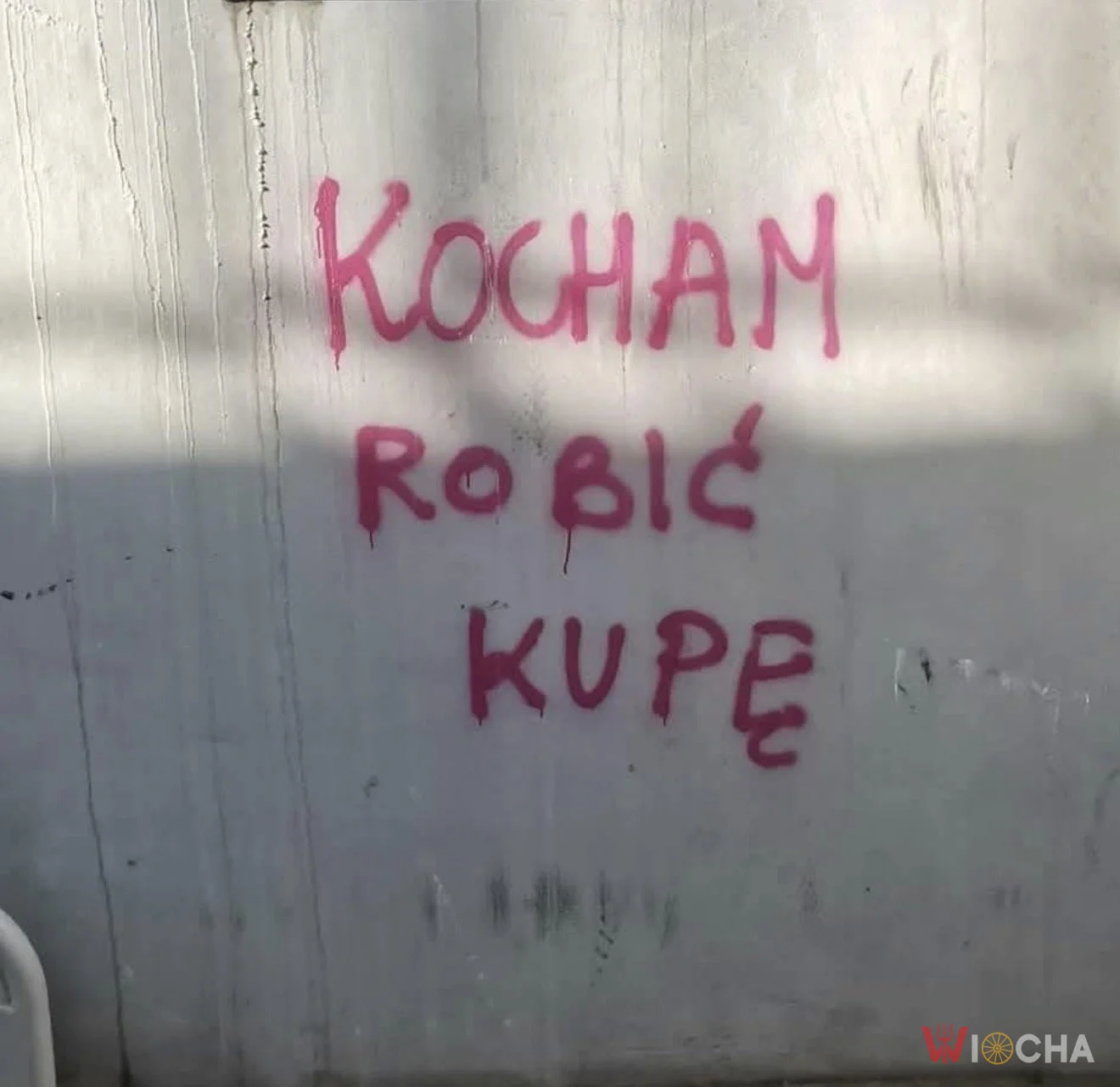 To świeżo odkryta pasja?