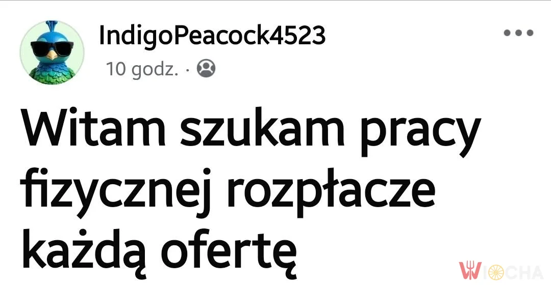 Rozpłacze każdą ofertę