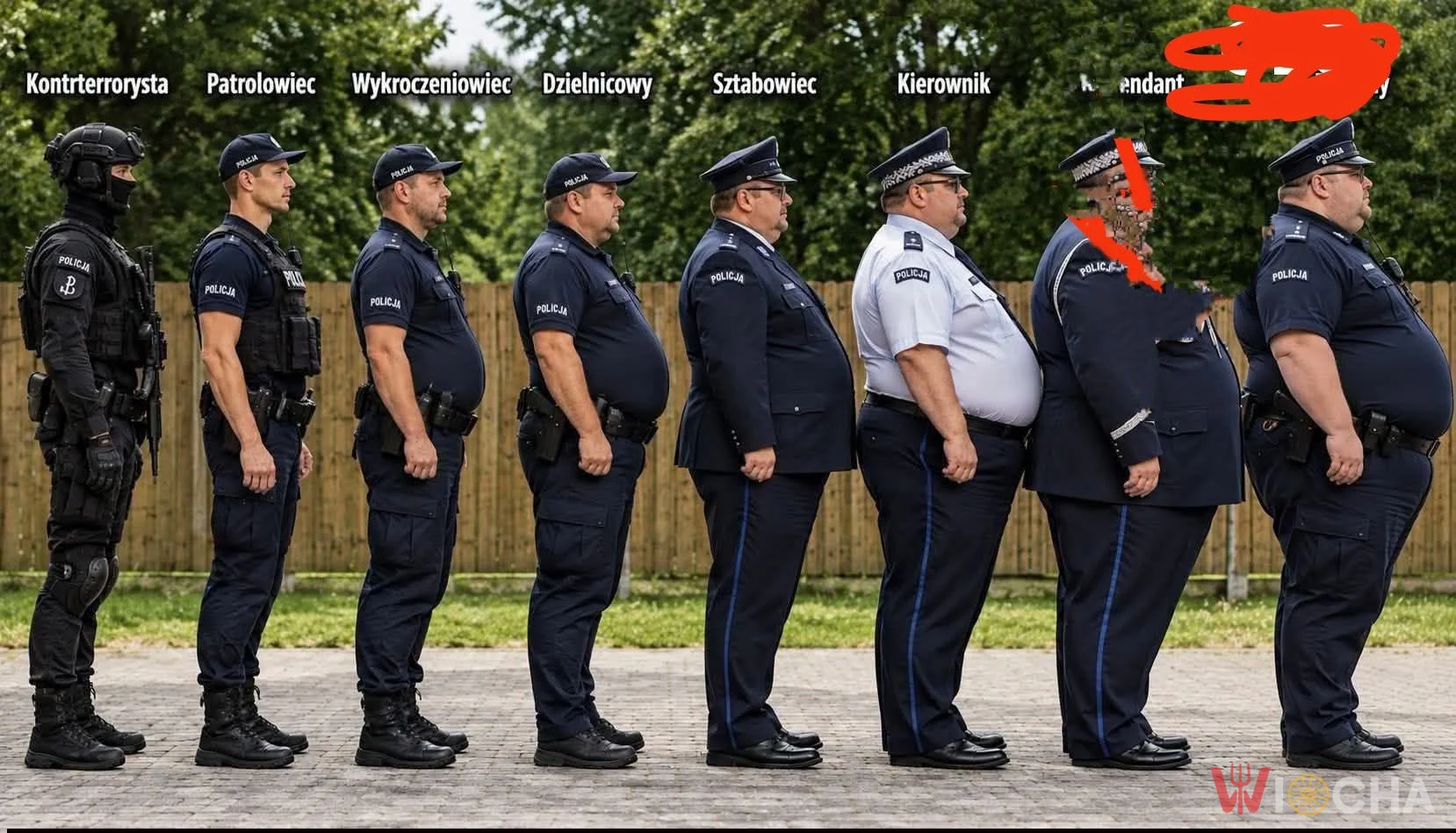 Ewolucja w mundurze