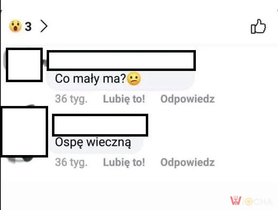 Ospa wieczna