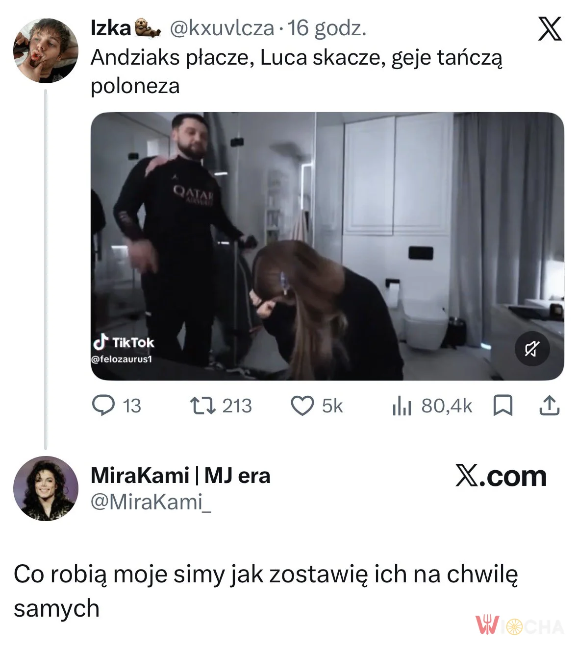 Co robią moje Simy