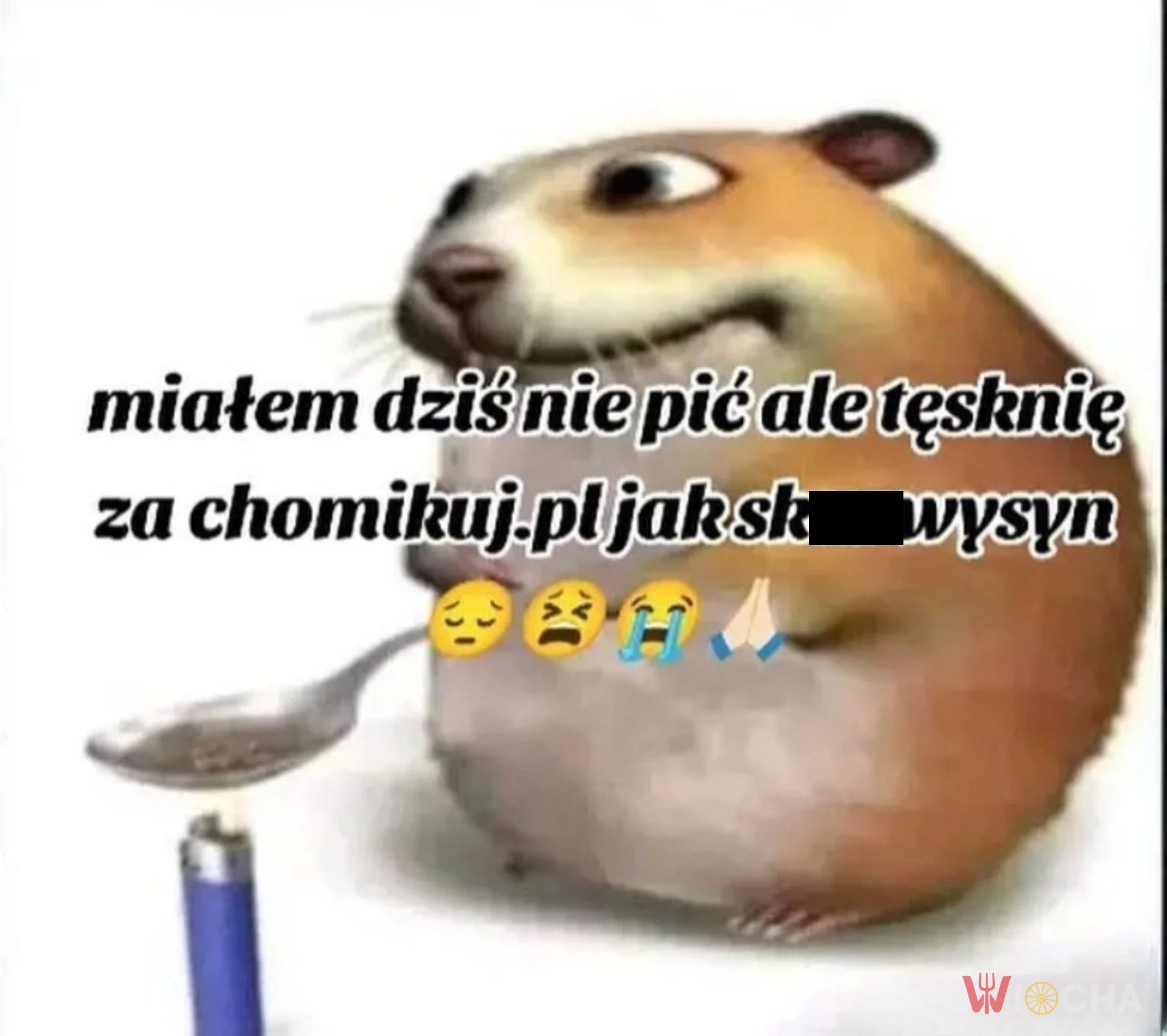 Kto tęskni za Chomikuj.pl?