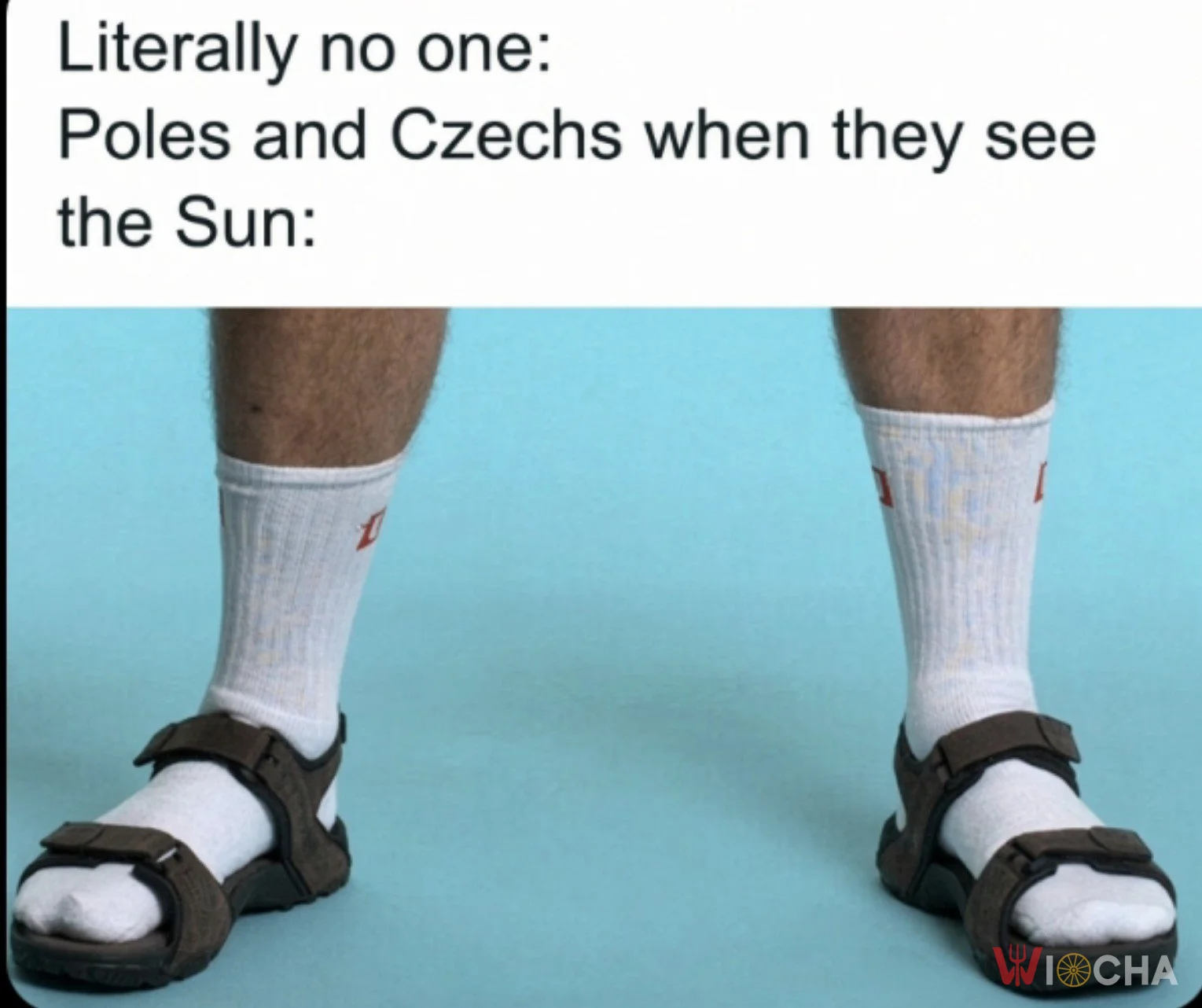 Polacy i Czesi w wakacje