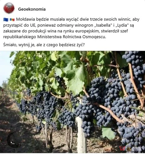 Nie chcą konkurencji?