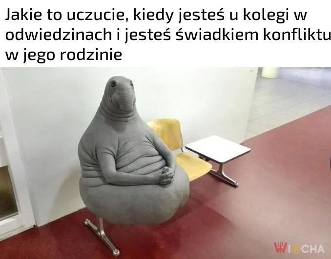 Przedstawienie się zaczyna