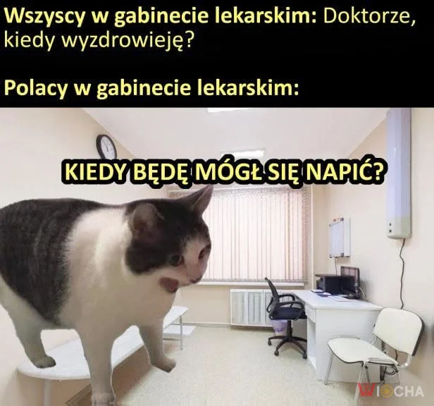 Prawdziwe pytania